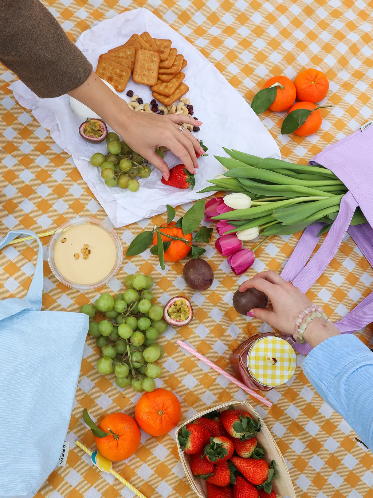Mini Functional Tote Bags in a picnic setting aesthetic picture  from The Tote Library