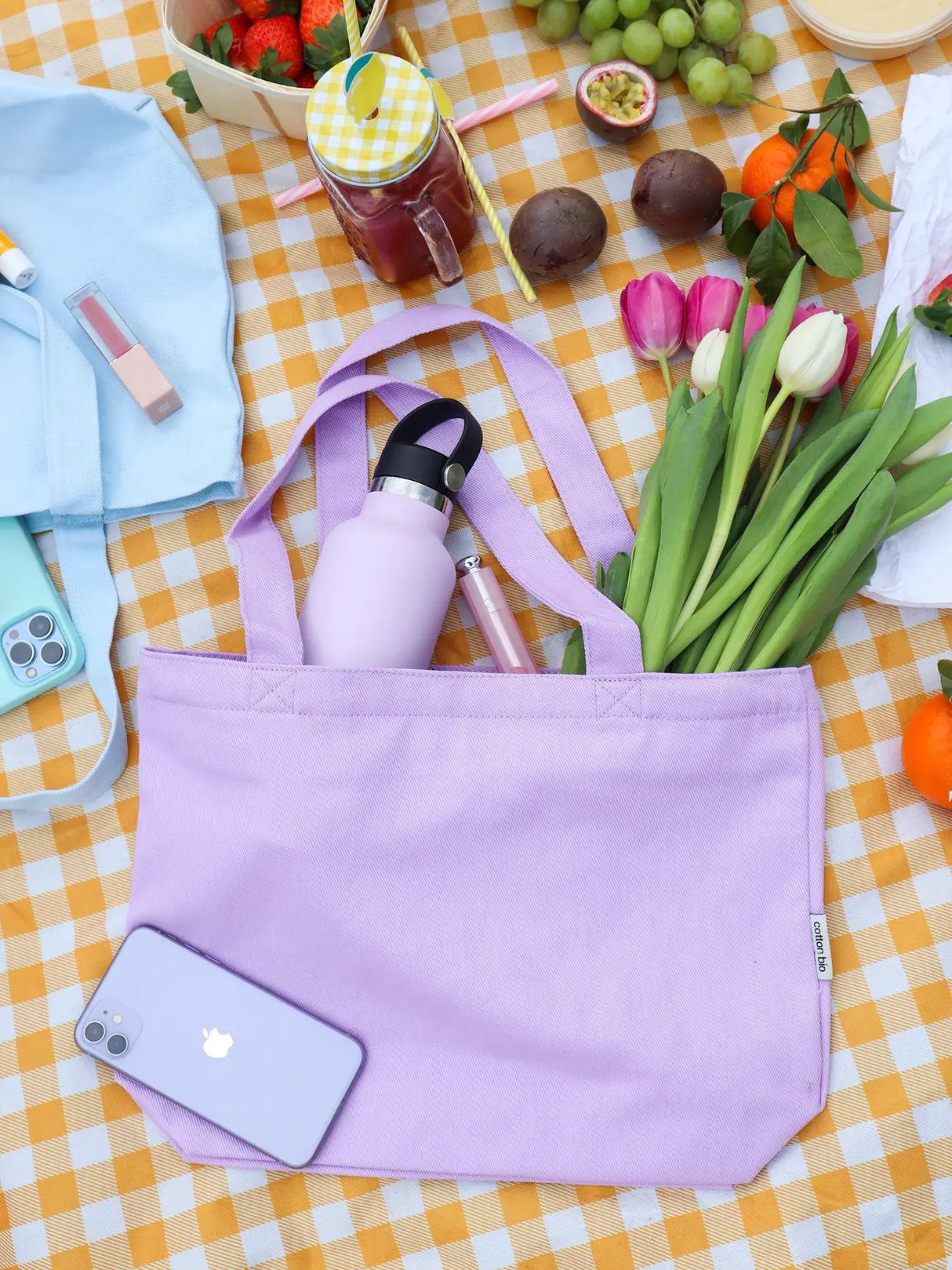 Mini Functional Tote Bags in a picnic setting aesthetic picture from The Tote Library